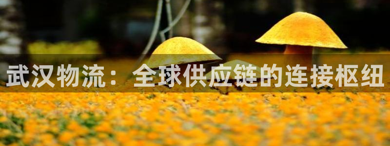 28圈技巧:武汉物流:全球供应链的连