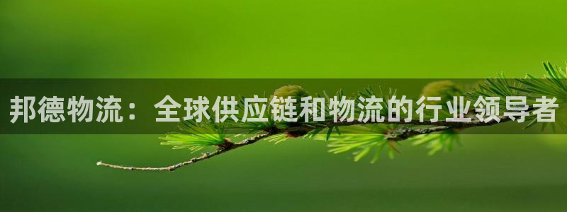 28圈防失联网址：邦德物流：全球供应链和物流的行业领导者