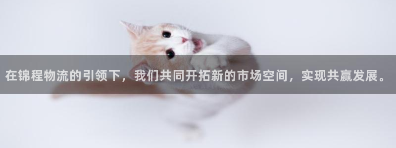 28圈h5链接：在锦程物流的引领下，