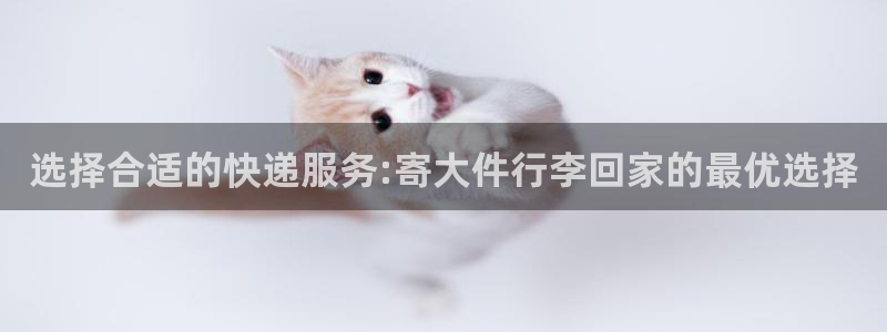 28圈大神预测：选择合适的快递服务: